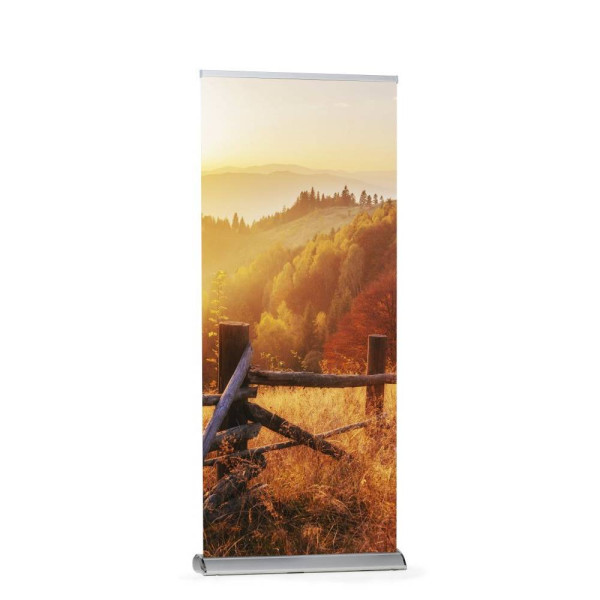 Roll-Banner Premium 120x160-220cm, silber