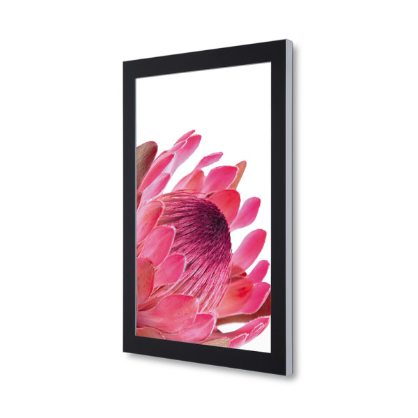 LED Premiumschaukasten Outdoor DIN A0 (IP56+B1 Zertifikat)